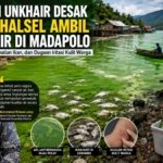 Akademisi Unkhair Desak Pemkab Halsel Ambil Sampel Air di Madapolo