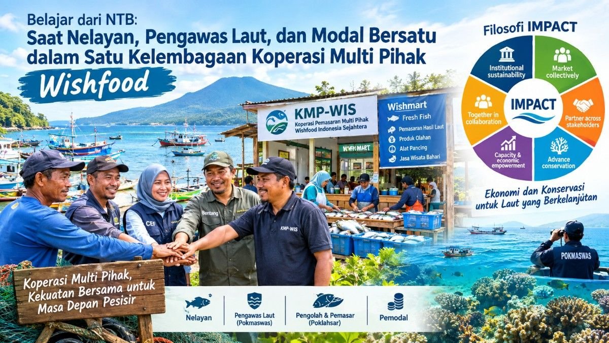 Belajar dari NTB: Saat Nelayan, Pengawas Laut, dan Modal Bersatu dalam Satu Kelembagaan Koperasi Multi Pihak Wishfood