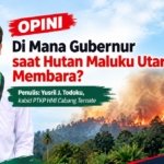 Di Mana Gubernur saat Hutan Maluku Utara Membara?