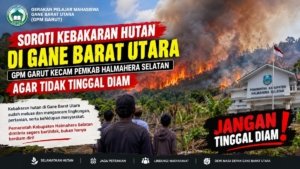 Soroti Kebakaran Hutan di Gane Barat Utara GPM GARUT  Kecam Pemkab Halmahera Selatan agar Tidak Tinggal Diam